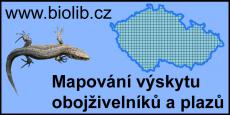 Projekty